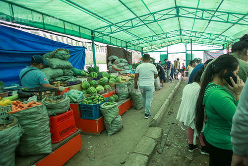 15 байршилд хүнсний ногооны үзэсгэлэн худалдааг гарлаа